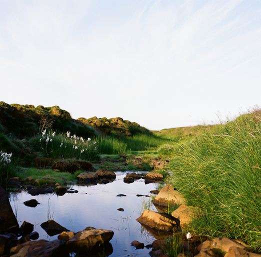 
			<br /><em>..another camping spot
			<br /><br /><br /><br /><br />(just outside of the town of borgarnes / SW)</em>