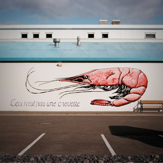 
			<br /><em>this is not a shrimp
			<br />(ref. rene magritte)
			<br /><br />icelanders DO have a sense of humor
			<br /><br /><br /><br /><br />(in the town of saudðárkrókur / NW)</em>