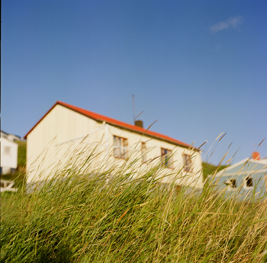 
			<br /><em>the beach near brimnes
			<br />..where bill holm saw each morning
			<br /><br /><br /><br /><br />(in the town of hofsós / NW)</em>