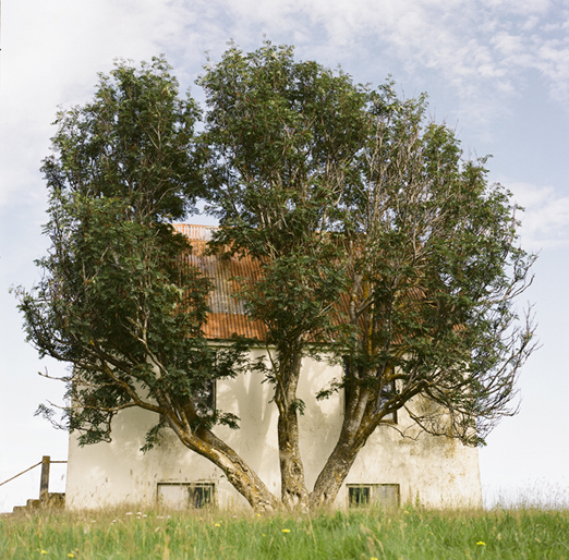 
			<br /><em>i looked at this abandoned farmhouse for a long time
			<br />walked around, watched ducks fly overhead
			<br />it was quiet and beautiful
			<br /><br />i thought about buying this abandoned place
			<br />and coming here for the next part of my life
			<br /><br />..perhaps i still will
			<br /><br /><br /><br /><br />(a secret location, in the region of kelduhverfi/ NE)</em>