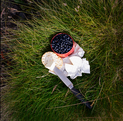 
			<br /><em>a beautiful lunch,
			<br />brie and crackers and wild blueberries 
			<br />picked on the side of the road
			<br /><br /><br /><br /><br />(just outside of the town of húsavík / NE)</em>