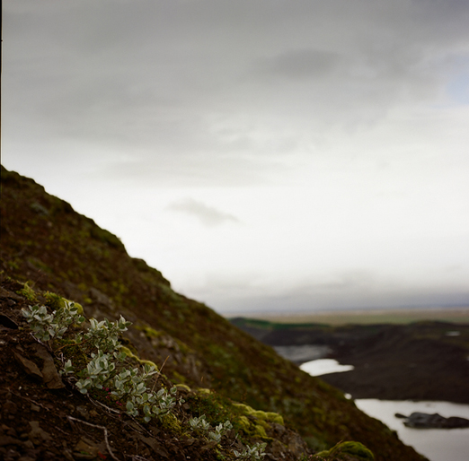 
			<br /><em>above a glacier,
			<br />on hill made very special
			<br /><br /><br /><br /><br /><br /><br />
			<br /><br /><br /><br /><br />(on the edge of sandfellsheði / SE)</em>