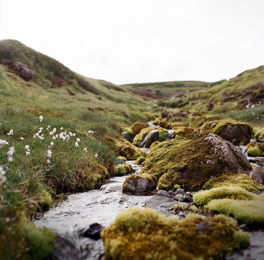 
			<br /><em>so many shades of green
			<br /><br />quiet
			<br />beautiful
			<br />tiny
			<br />perfect
			<br /><br /><br /><br /><br />(on the way down from snæfellsjökull / NW)</em>