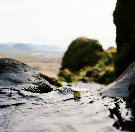 
			<br /><em>goodbye little buttercup,
			<br />safe travels
			<br /><br /><br /><br /><br />(in cave of seagull death, 
			<br />on the way to snæfellsjökull / NW)</em>