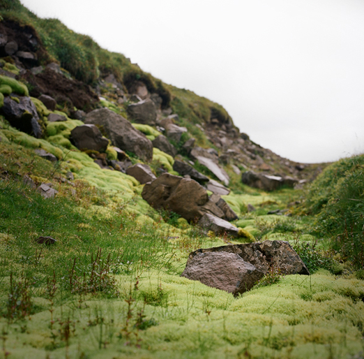 
			<br /><em>the brightest green 
			<br />i've ever seen
			<br /><br /><br /><br /><br />(on the road from djúpavík / NW)</em>