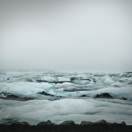 
			<br /><em>glacier bay
			<br />where seals and tourists 
			<br />come to play
			<br /><br /><br /><br /><br />(jökulsarlón / SE)</em>