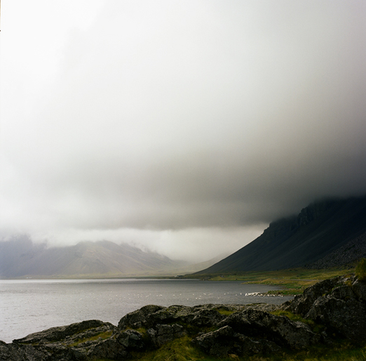 
			<br /><em>just a handful
			<br />of the ten thousand swans
			<br /><br /><br /><br /><br />(beside the road, near svínhólar / SE)</em>