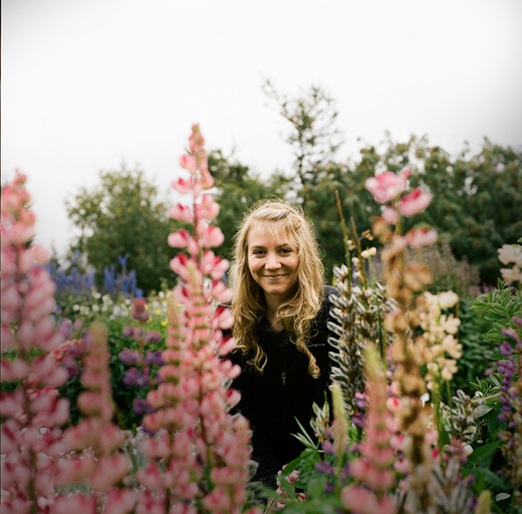 
			<br /><em>for my mum,
			<br />who loves lupins
			<br /><br /><br /><br /><br />(city of akureyri / N)</em>