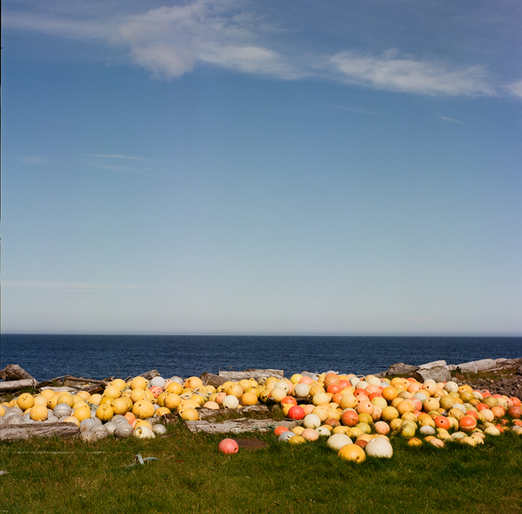 
			<br /><em>..i like orange
			<br /><br /><br /><br /><br />(on a road hear þórshöfn, NE)</em>